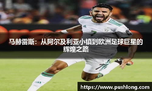 威廉希尔williamhill官网入口
