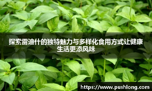 探索雷迪什的独特魅力与多样化食用方式让健康生活更添风味