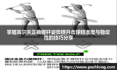 威廉希尔williamhill官网版