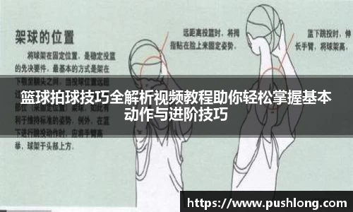 篮球拍球技巧全解析视频教程助你轻松掌握基本动作与进阶技巧